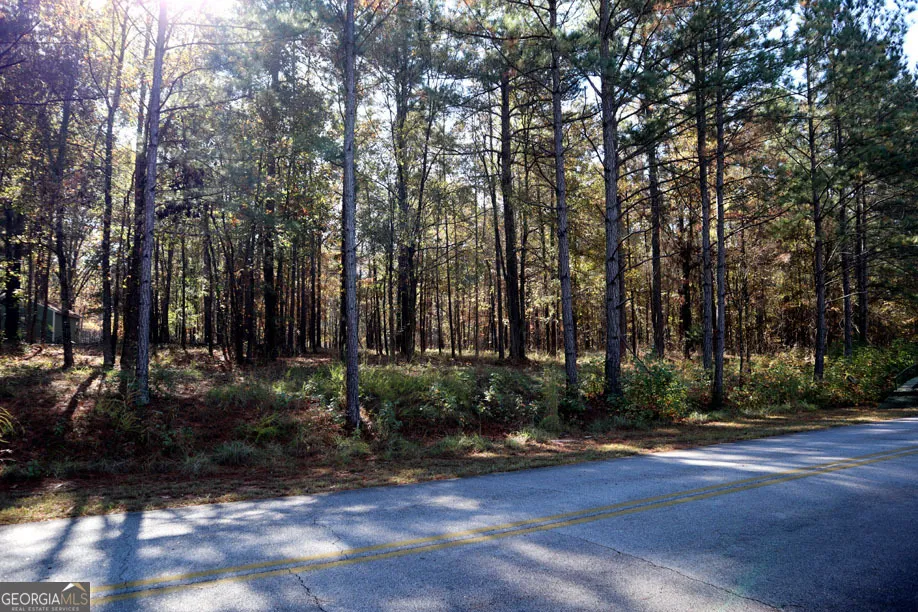 1438 Jamesway DR Sparta, GA 31087