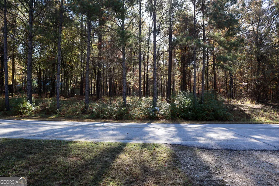 1438 Jamesway DR Sparta, GA 31087