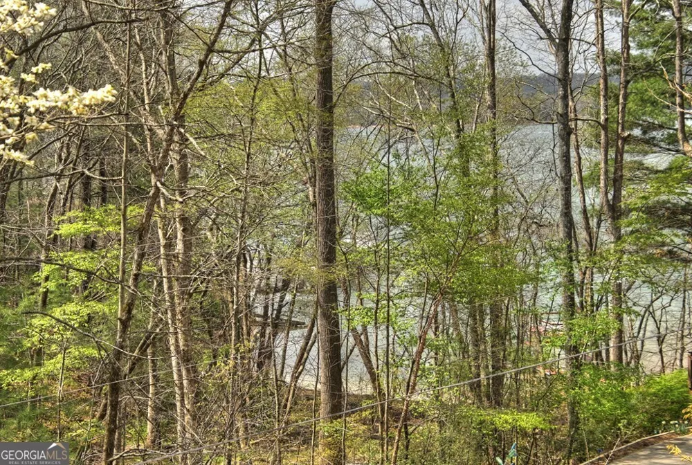 32 Lake Front DR Morganton, GA 30560