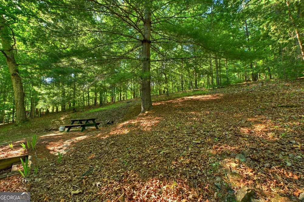 32 Lake Front DR Morganton, GA 30560