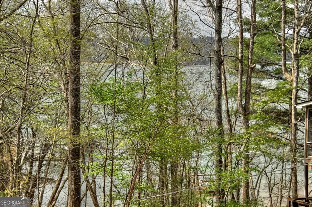 32 Lake Front DR Morganton, GA 30560