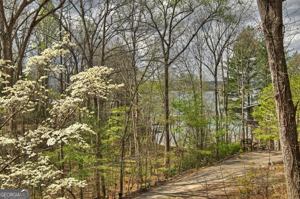 32 Lake Front DR Morganton, GA 30560