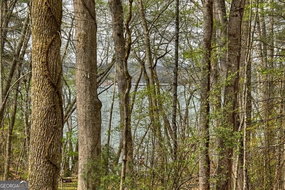 32 Lake Front DR Morganton, GA 30560
