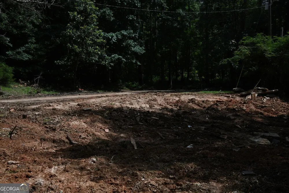 5435 Hearn RD Ellenwood, GA 30294