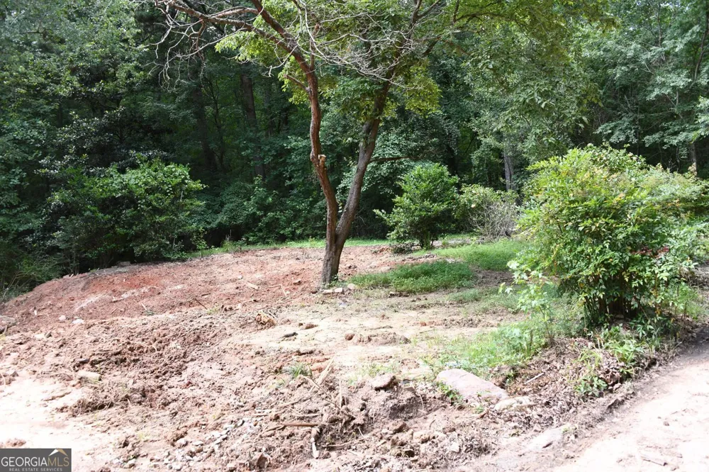 5435 Hearn RD Ellenwood, GA 30294