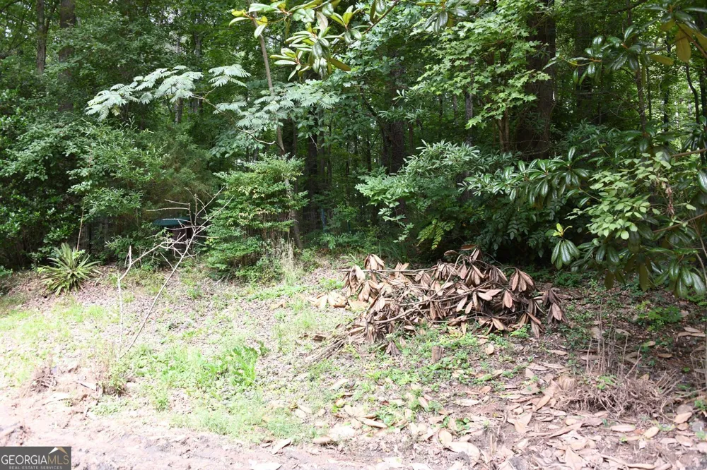5435 Hearn RD Ellenwood, GA 30294