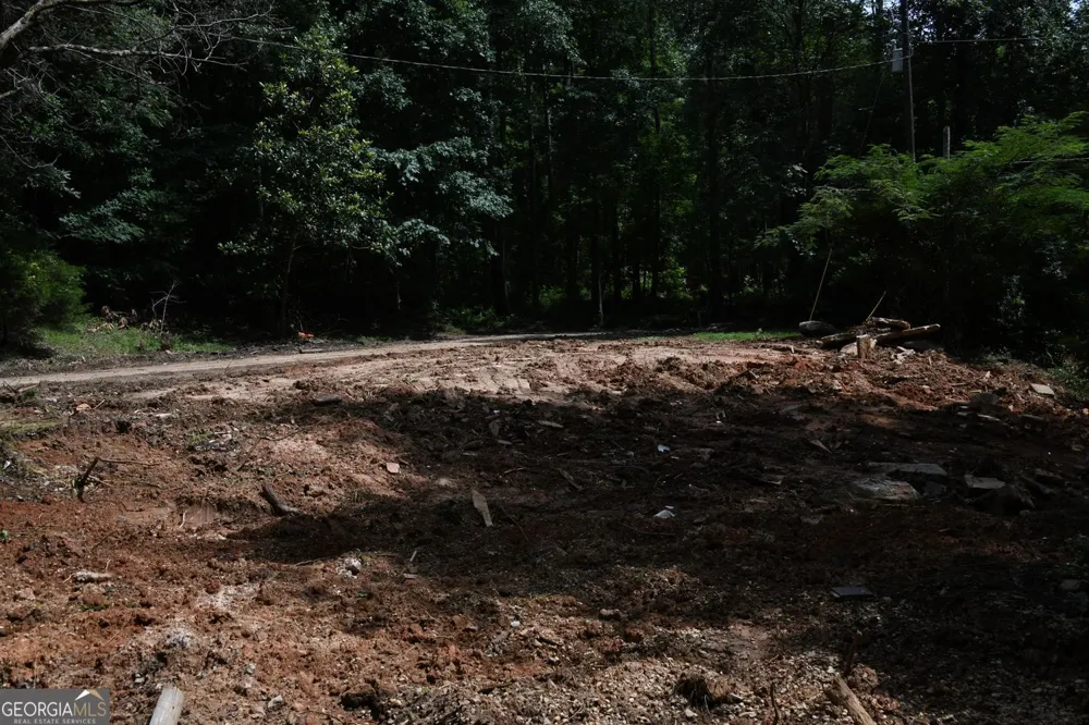 5435 Hearn RD Ellenwood, GA 30294