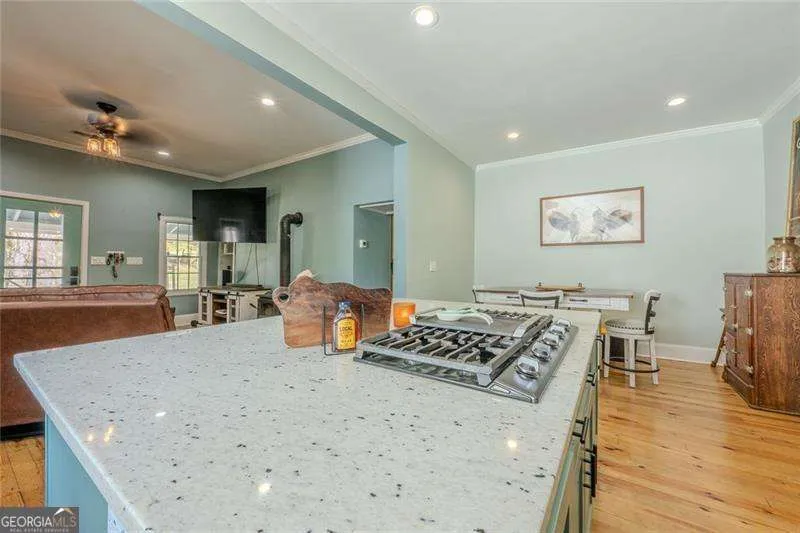 182 Henry Mack Hill RD Rydal, GA 30171