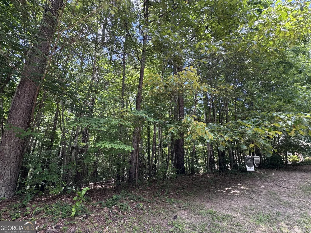201 Stonebridge BLVD Bremen, GA 30110
