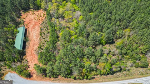 0 LONG PINE LN