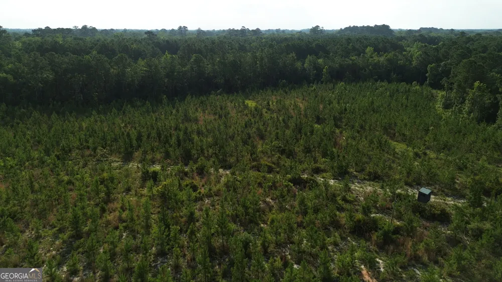 0 Scuffletown RD Bristol, GA 31518