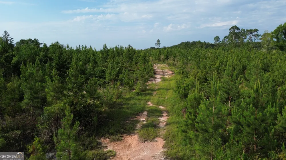 0 Scuffletown RD Bristol, GA 31518
