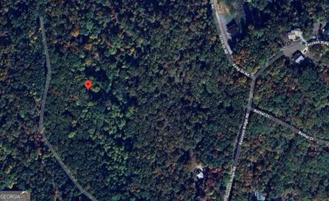 1009 N Cut DR