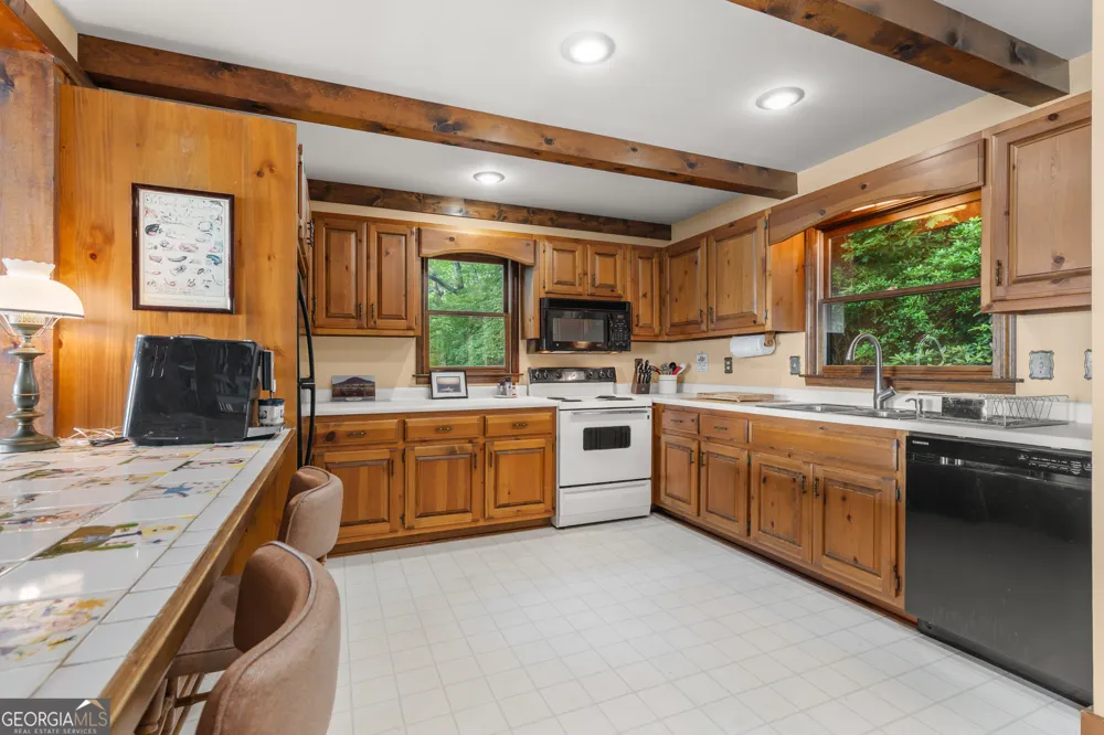 614 Charmont DR Tiger, GA 30576