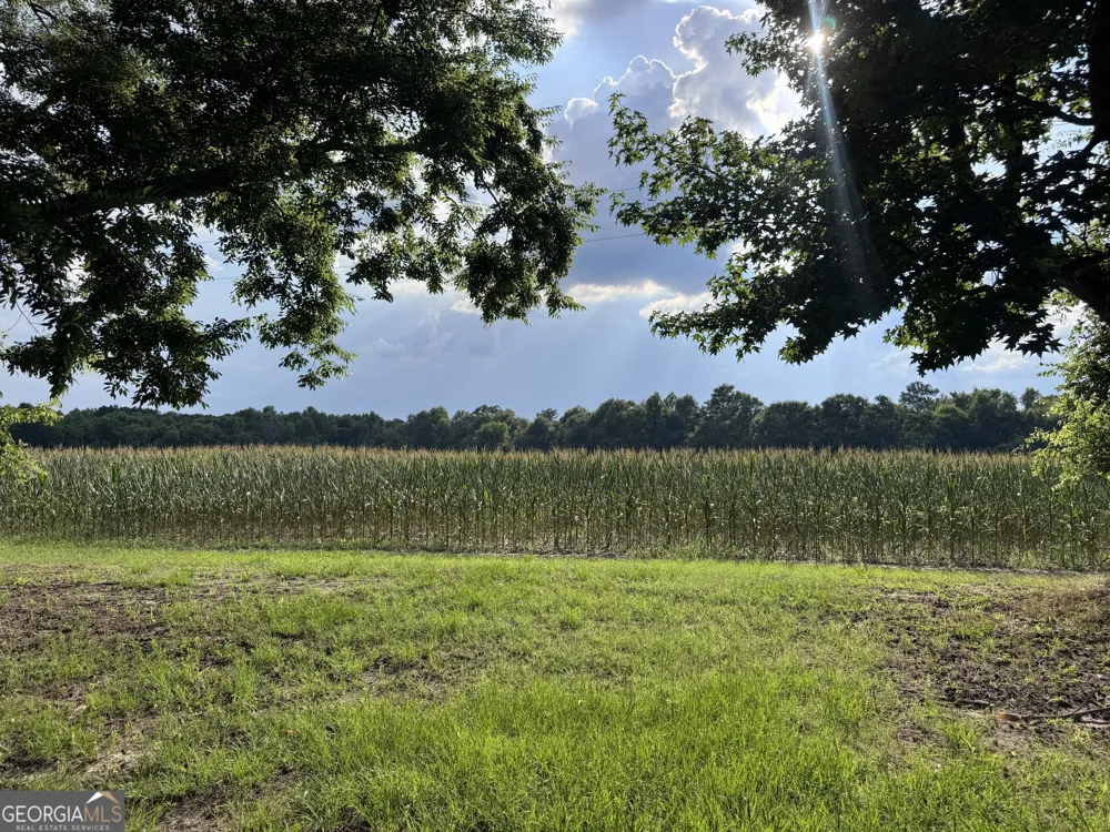 1665 Walke Dairy RD Dublin, GA 31021