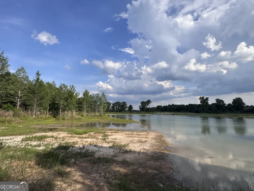 1665 Walke Dairy RD Dublin, GA 31021