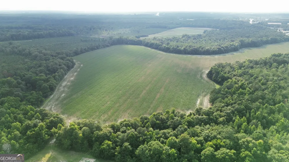 1665 Walke Dairy RD Dublin, GA 31021