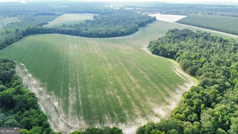 1665 Walke Dairy RD Dublin, GA 31021