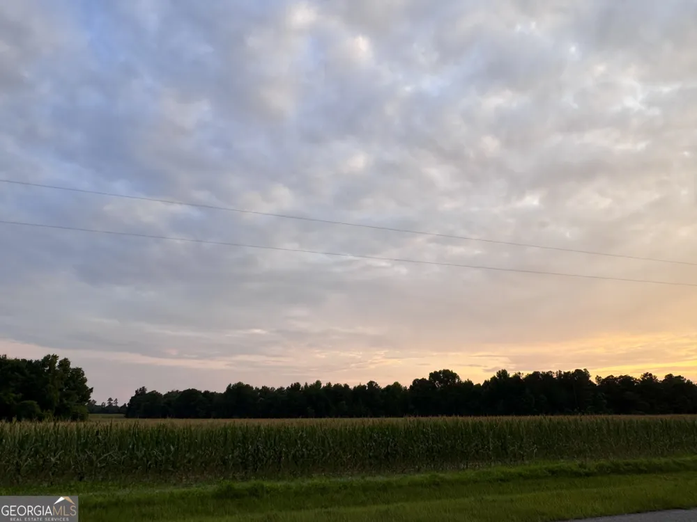1665 Walke Dairy RD Dublin, GA 31021