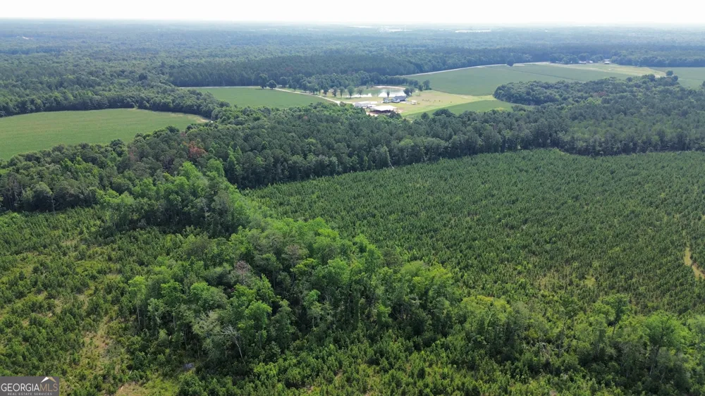 1665 Walke Dairy RD Dublin, GA 31021