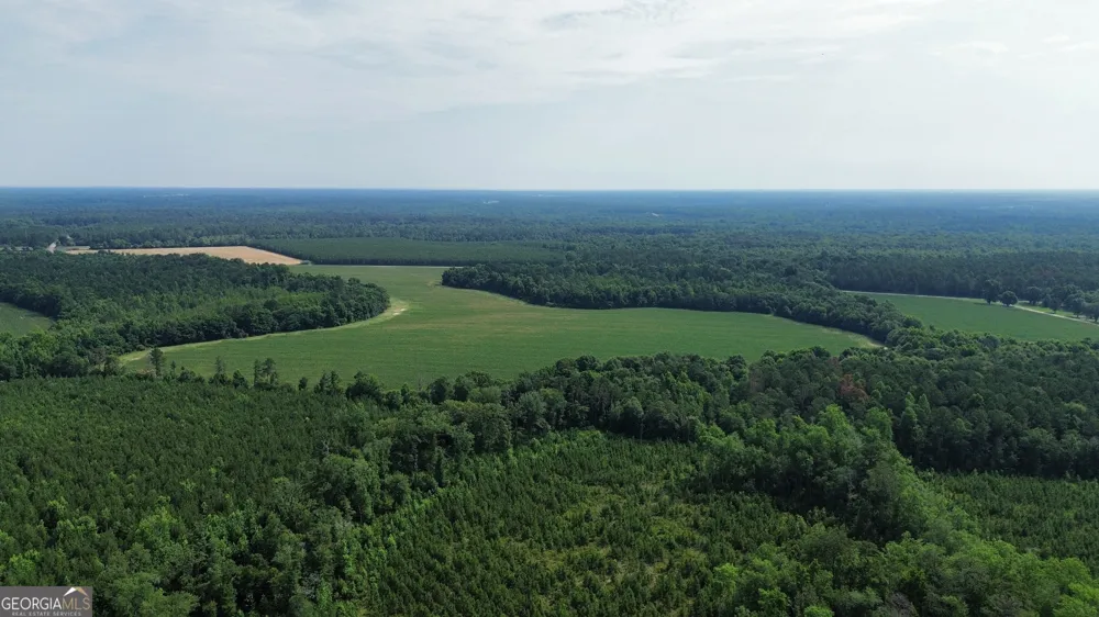 1665 Walke Dairy RD Dublin, GA 31021