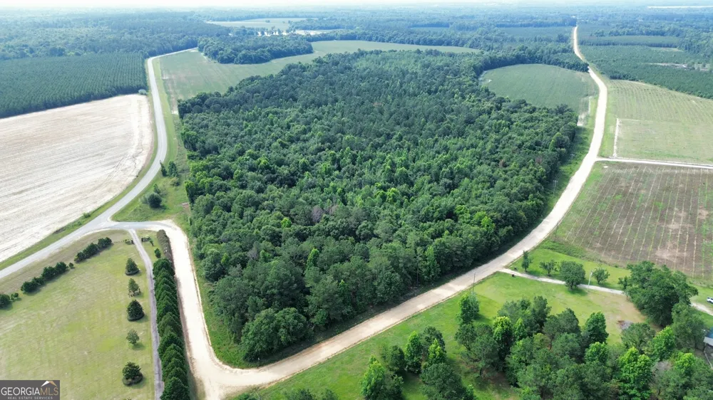 1665 Walke Dairy RD Dublin, GA 31021