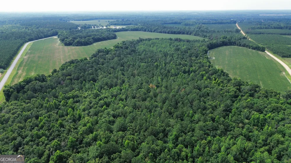 1665 Walke Dairy RD Dublin, GA 31021