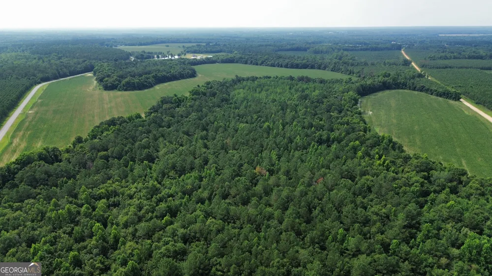 1665 Walke Dairy RD Dublin, GA 31021