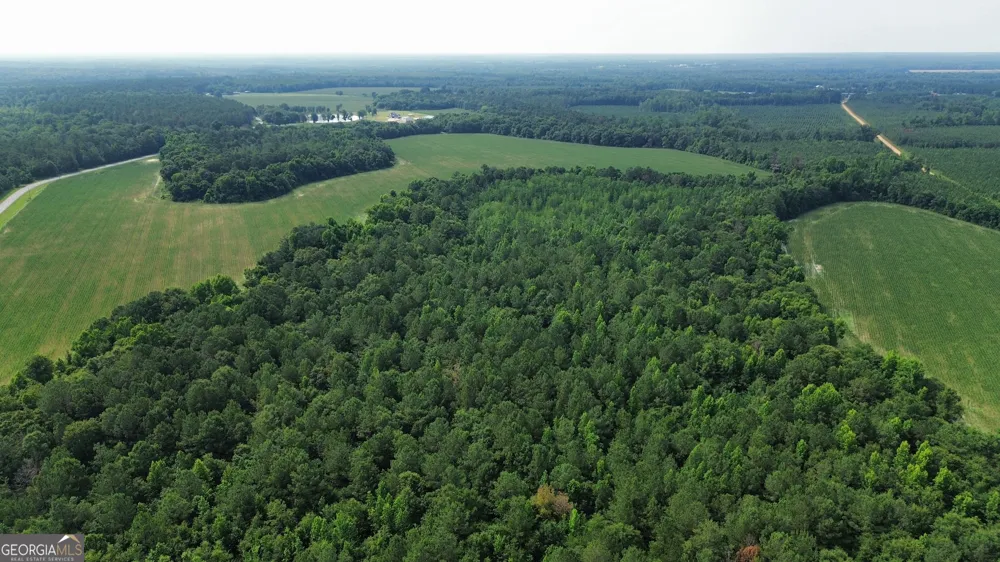1665 Walke Dairy RD Dublin, GA 31021