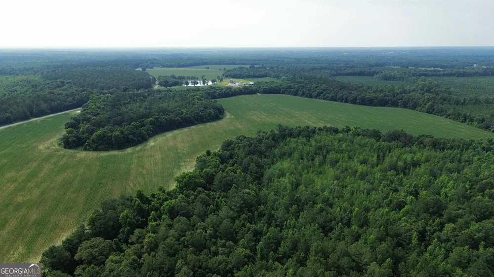 1665 Walke Dairy RD Dublin, GA 31021