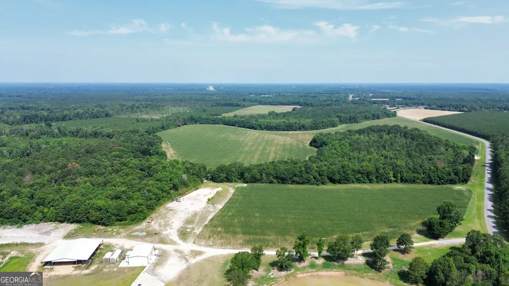 1665 Walke Dairy RD Dublin, GA 31021