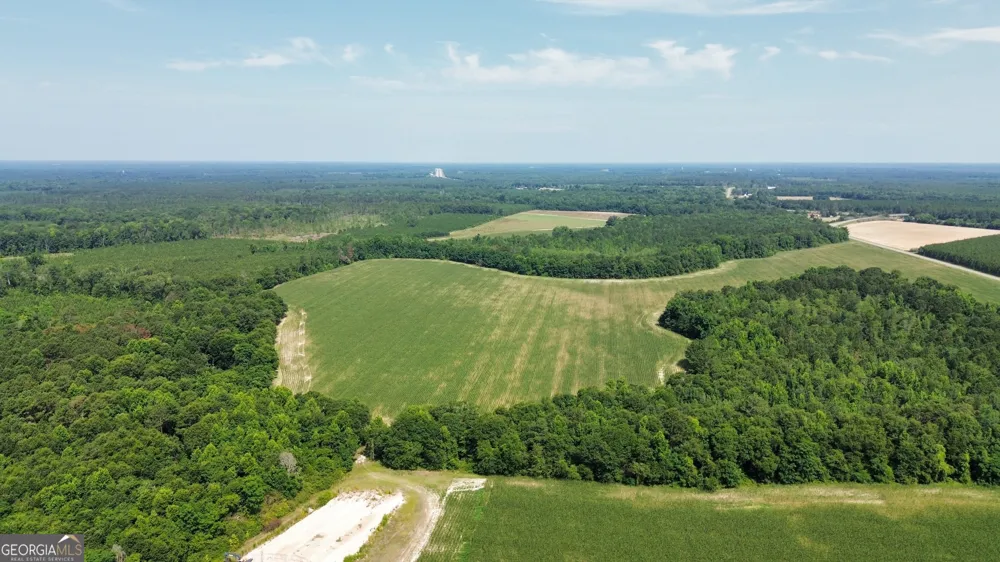 1665 Walke Dairy RD Dublin, GA 31021