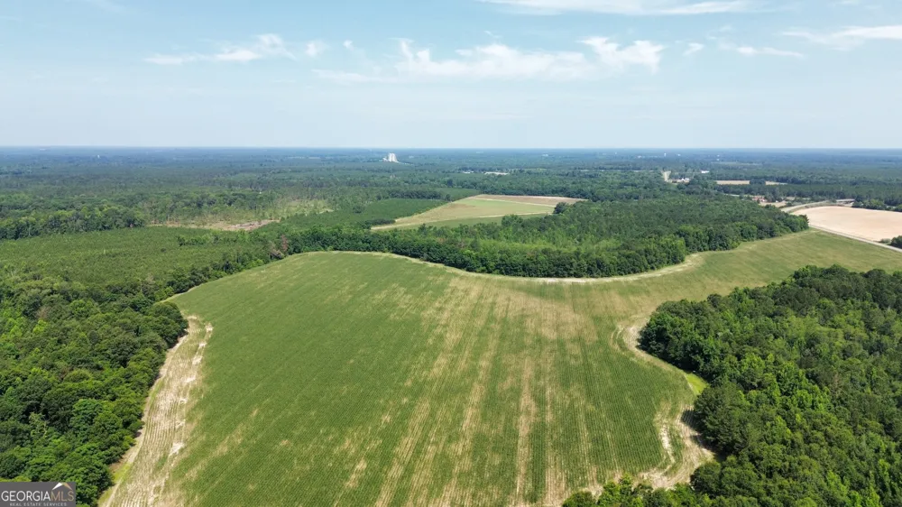 1665 Walke Dairy RD Dublin, GA 31021
