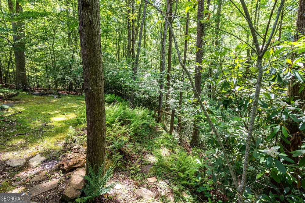 211 Red Oak Forest LN Murphy, NC 28906