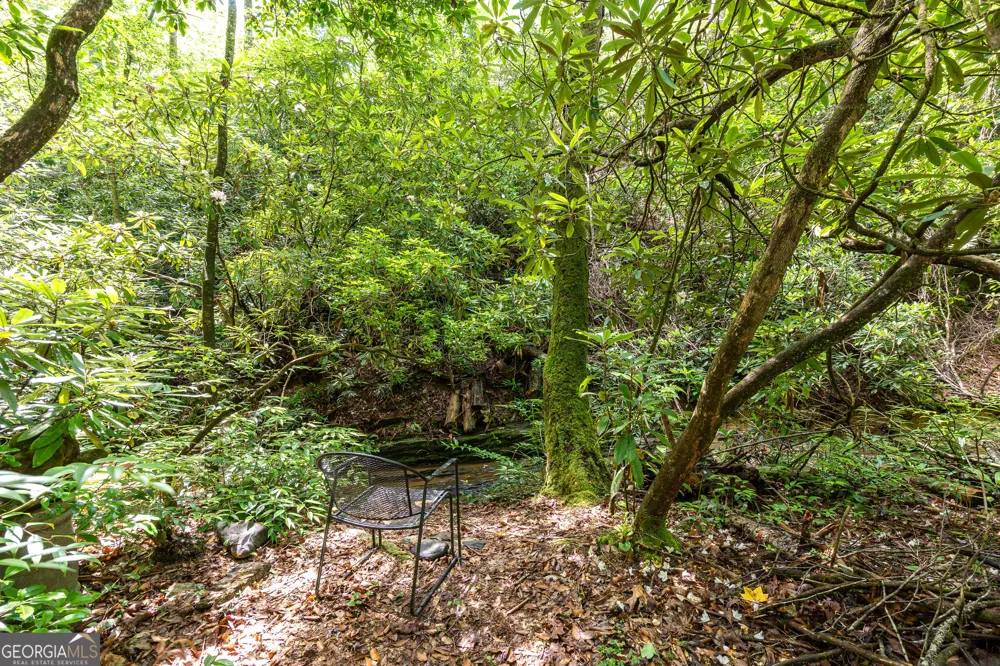 211 Red Oak Forest LN Murphy, NC 28906
