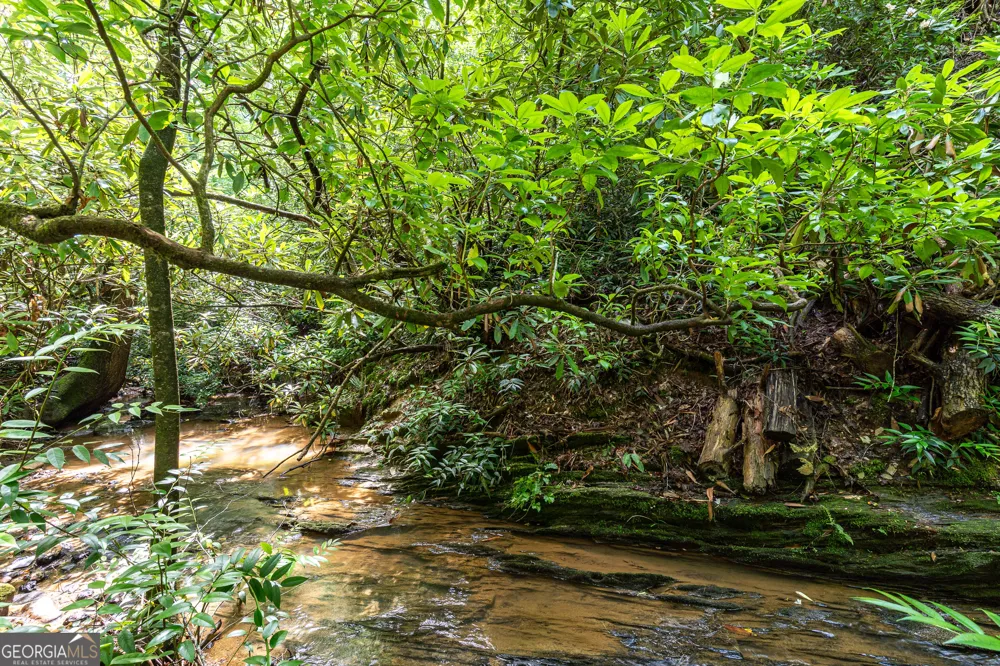 211 Red Oak Forest LN Murphy, NC 28906