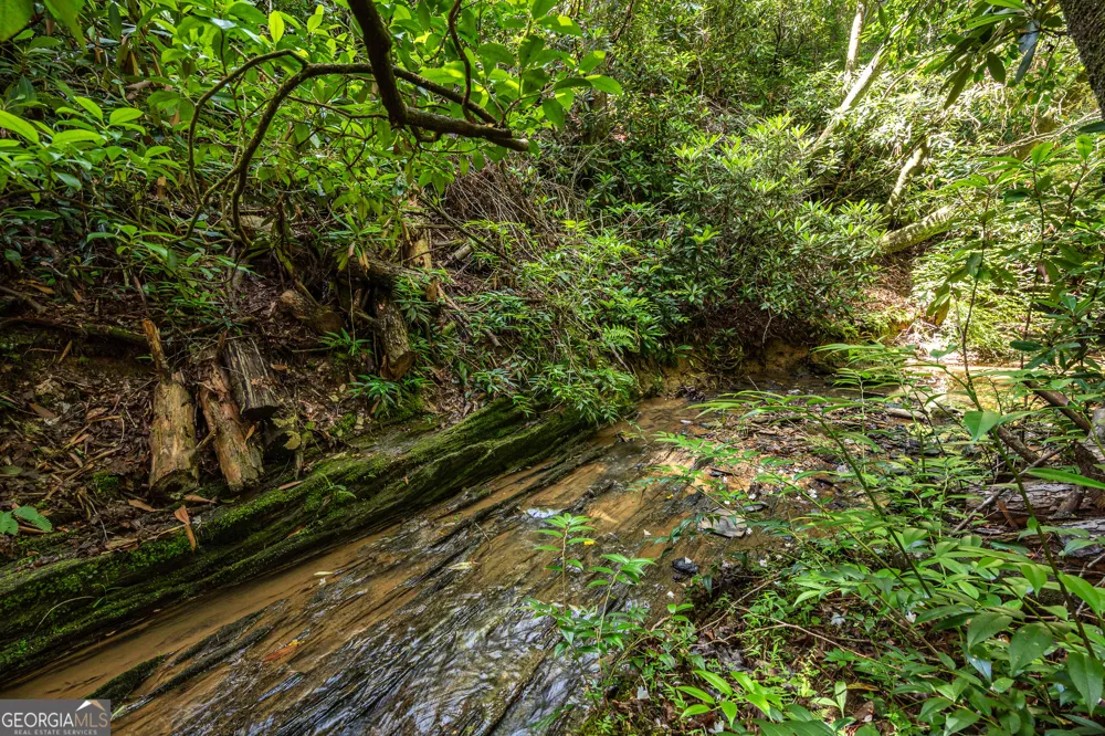 211 Red Oak Forest LN Murphy, NC 28906