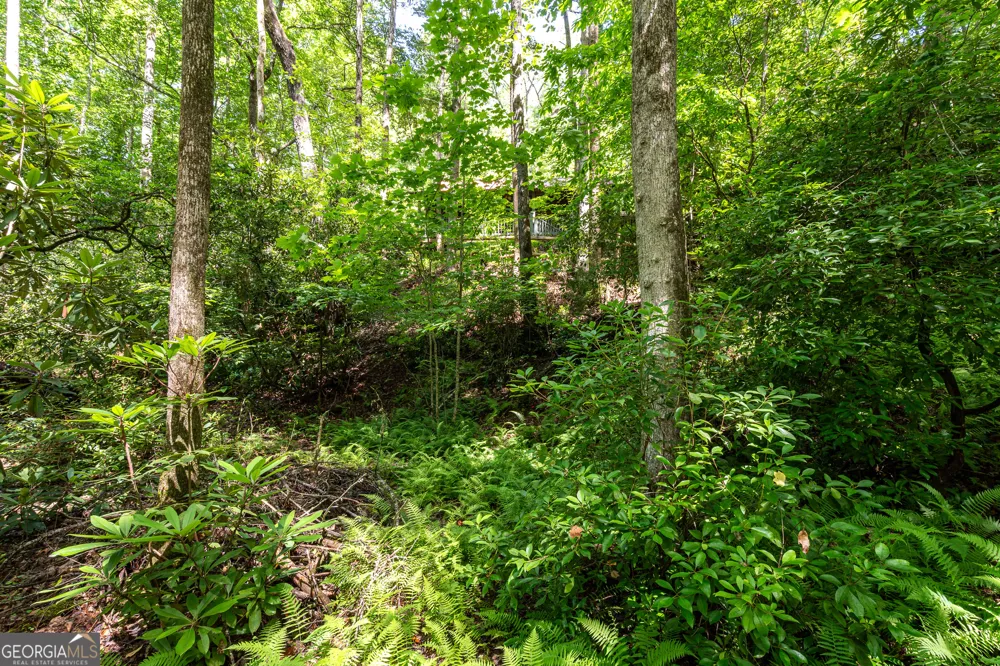 211 Red Oak Forest LN Murphy, NC 28906