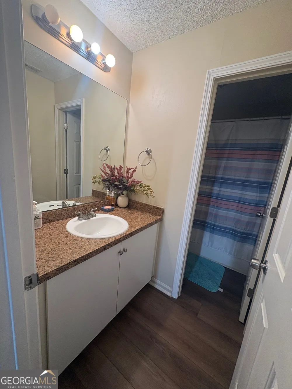 4312 Ward Bluff DR Ellenwood, GA 30294