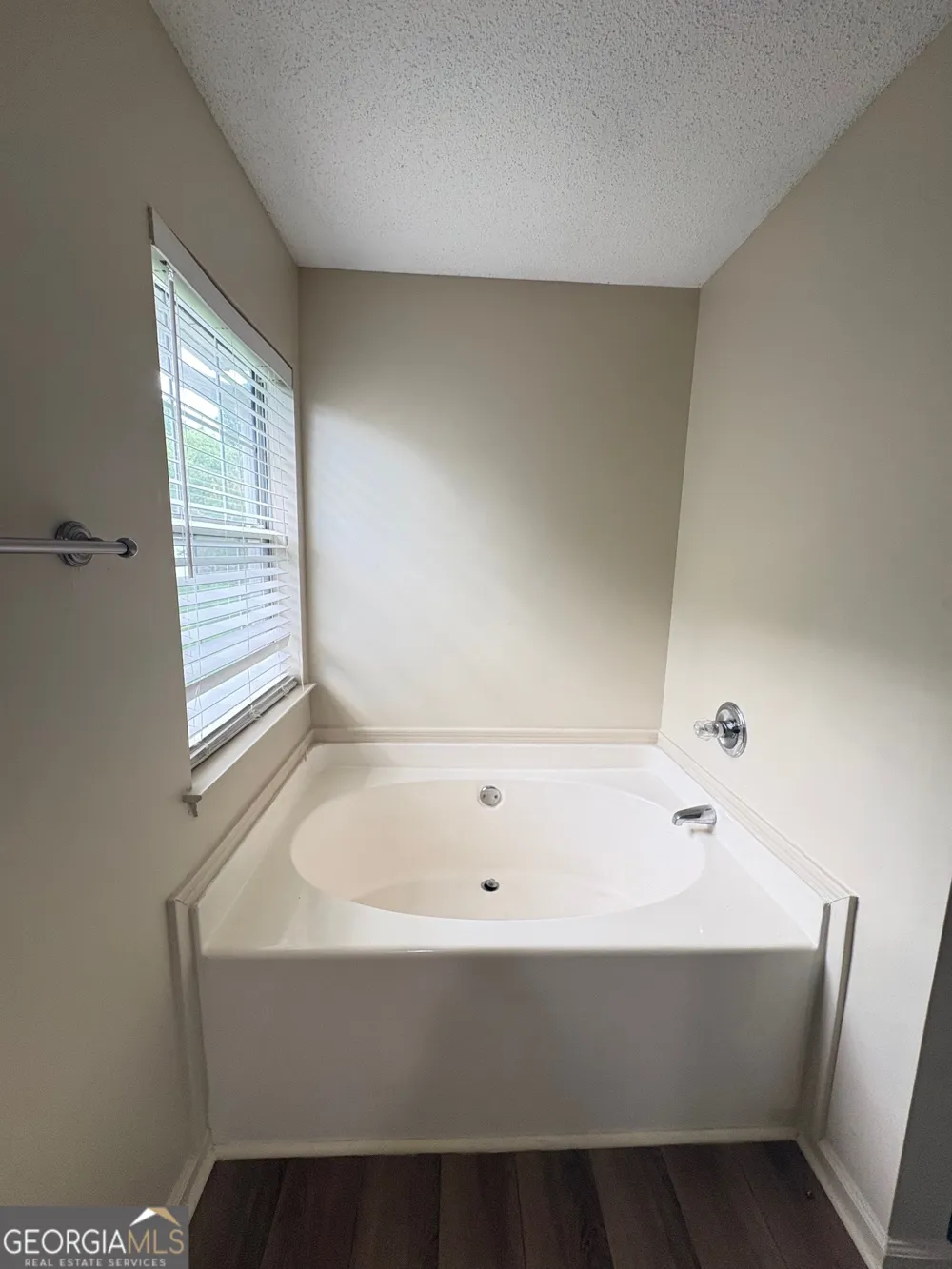 4312 Ward Bluff DR Ellenwood, GA 30294