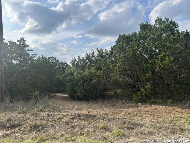 1049 Grassland Bulverde, TX 78163