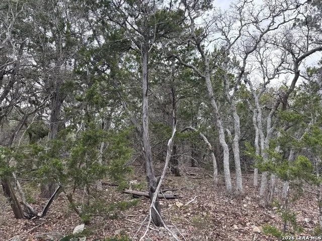 TBD Stoney Hill Lane Pipe Creek, TX 78063