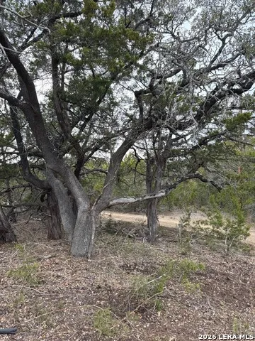 TBD Stoney Hill Lane Pipe Creek, TX 78063