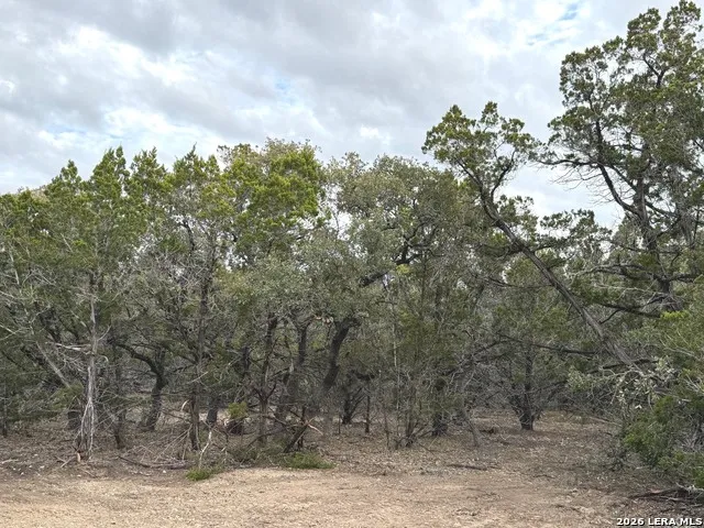 TBD Stoney Hill Lane Pipe Creek, TX 78063