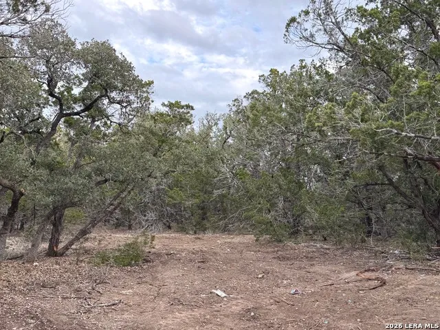 TBD Stoney Hill Lane Pipe Creek, TX 78063