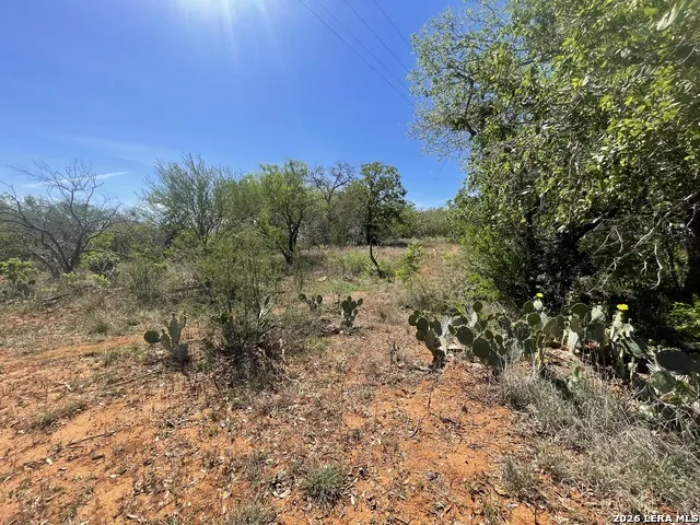 10306 FM 1681 Nixon, TX 78140