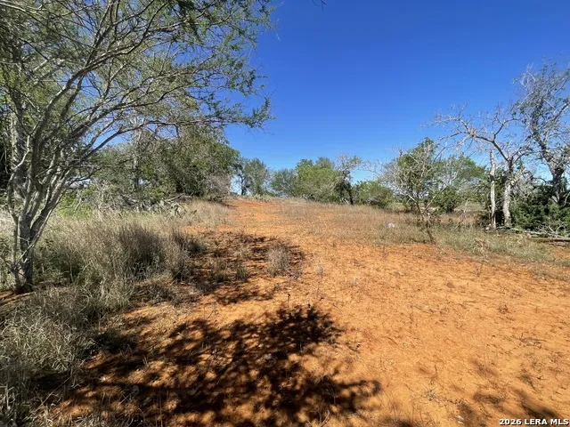 10306 FM 1681 Nixon, TX 78140