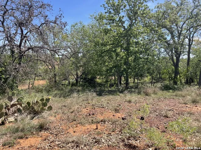 10306 FM 1681 Nixon, TX 78140