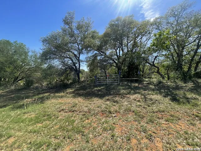 10306 FM 1681 Nixon, TX 78140