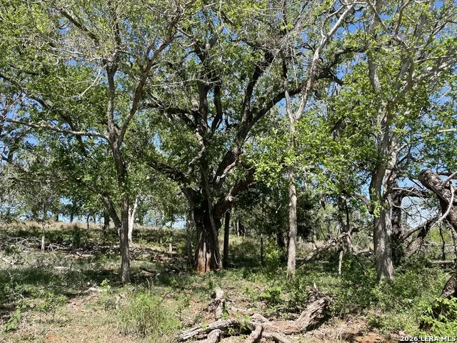 10306 FM 1681 Nixon, TX 78140